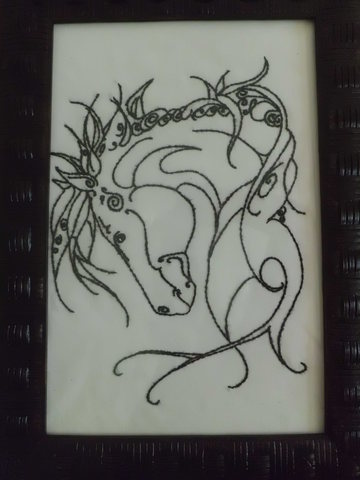Cimg7291 display