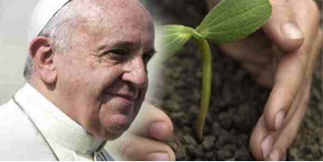 Papa francisco display