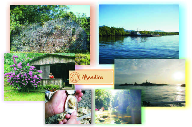 Mandira tur display