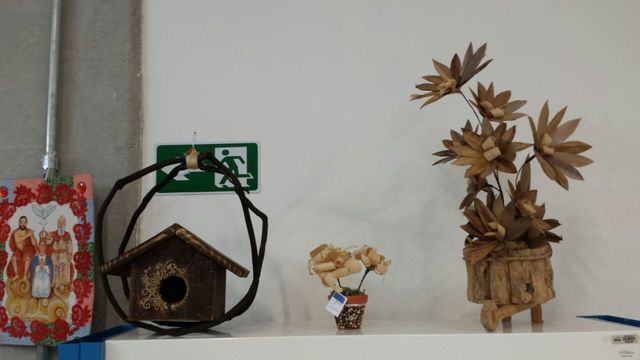 Img 20160624 wa0015 display