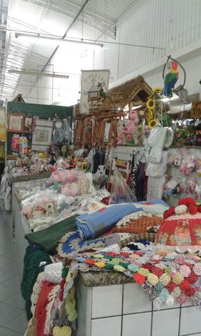 Img 20160305 wa0026 display