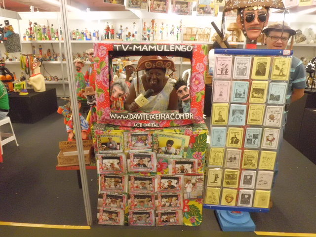 Cimg7421 display