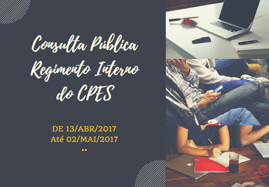 2017 04 fesdfe capa consulta display