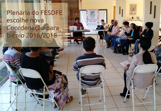 2016 07 plenariafesdfe capa display