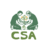 Logo csa bigicon