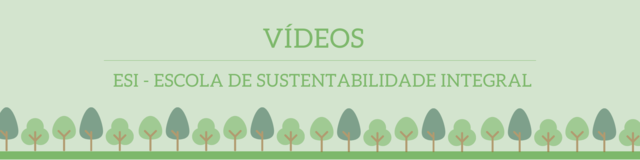 Videos esi display